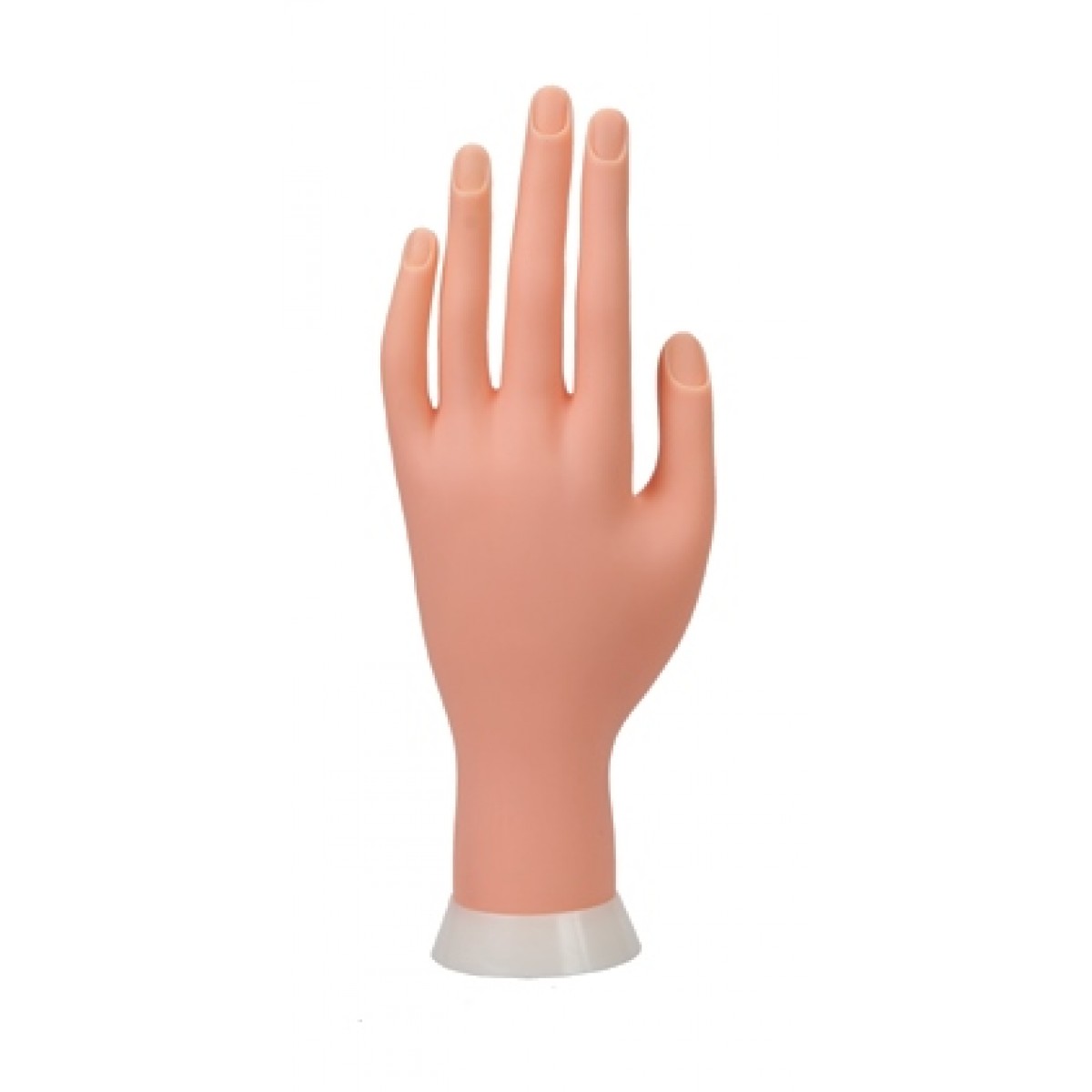 Εκπαιδευτικό Χέρι Εύκαμπτο